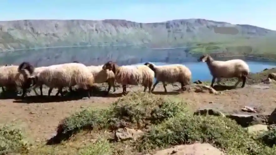 BİTLİS Nemrut Krater Gölü'ne, ziyaretler başladı
