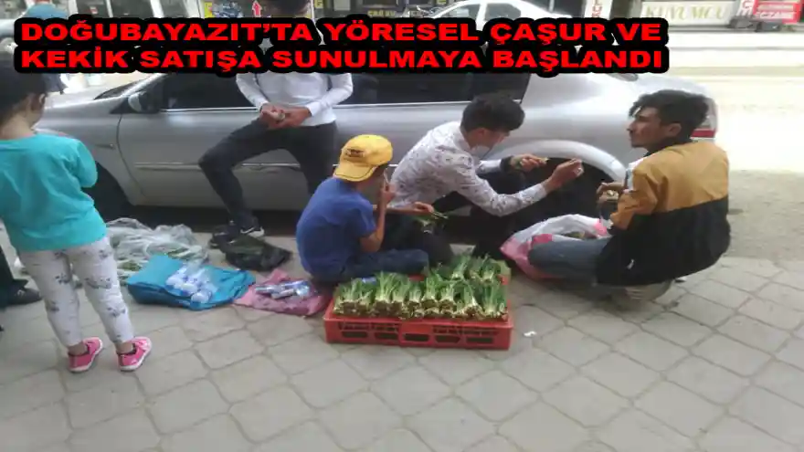 DOĞUBAYAZIT’TA YÖRESEL ÇAŞUR VE KEKİK SATIŞA          SUNULMAYA BAŞLANDI
