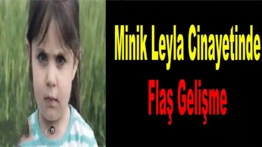 Leyla Aydemir Cinayetinde Savcı Talebini Açıkladı 
