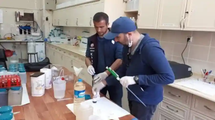 Şiddetli gök gürültüsü balık ölümlerini tetikledi  