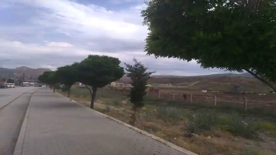 İSHAKPAŞA YOL BOYUNDAKİ AĞAÇLAR DİLE GELDİ