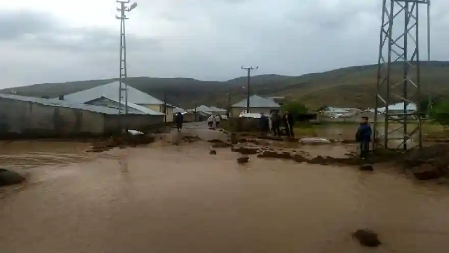 Patnos'u sağanak vurdu; dereler taştı, hayvanlar telef oldu