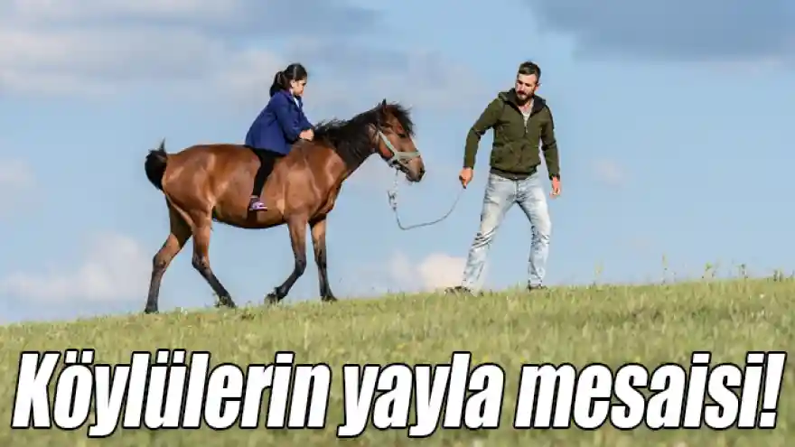 Köylülerin yayla mesaisi renkli görüntüler oluşturdu