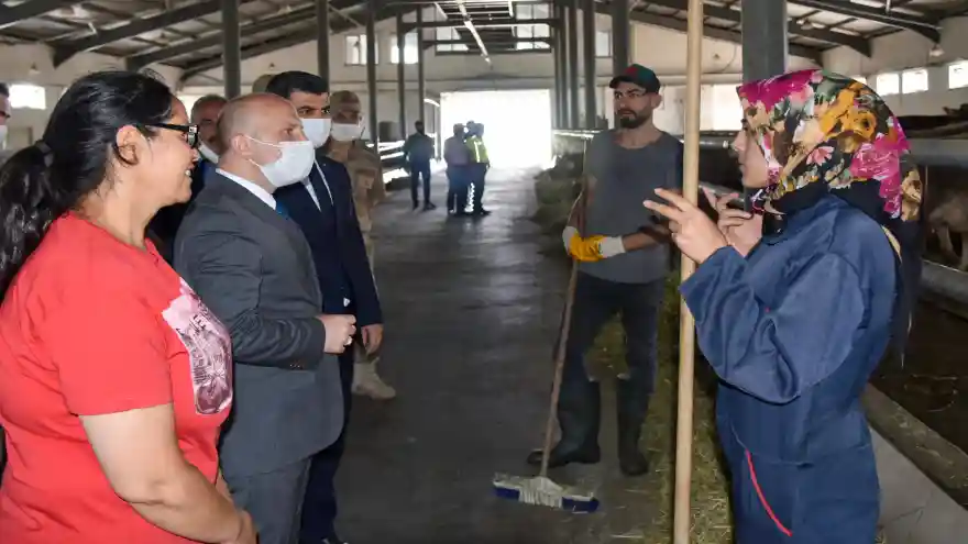 AĞRI VALİSİ ELEŞKİRT İNCELEMELERDE BULUNDU