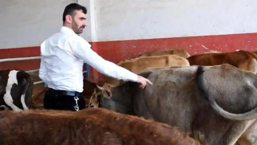 'Kurban alırken parlak tüylü hayvan tercih edin'