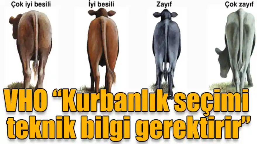 VHO “Kurbanlık seçimi teknik bilgi gerektirir”