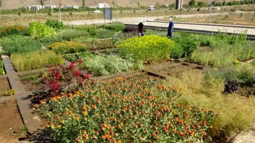 MŞÜ'den ilaç sanayisi ve tarıma katkı çalışması