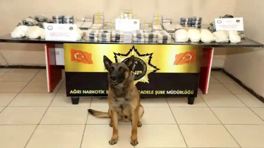 TIR'da, piyasa değeri 13 milyon lira olan uyuşturucu ele geçti