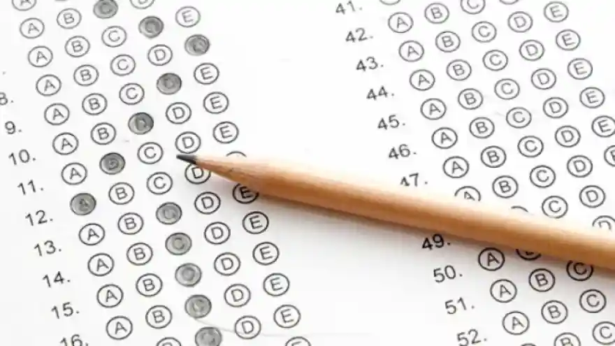 Liselere Giriş Sınavı yerleştirme sonuçları açıklandı 