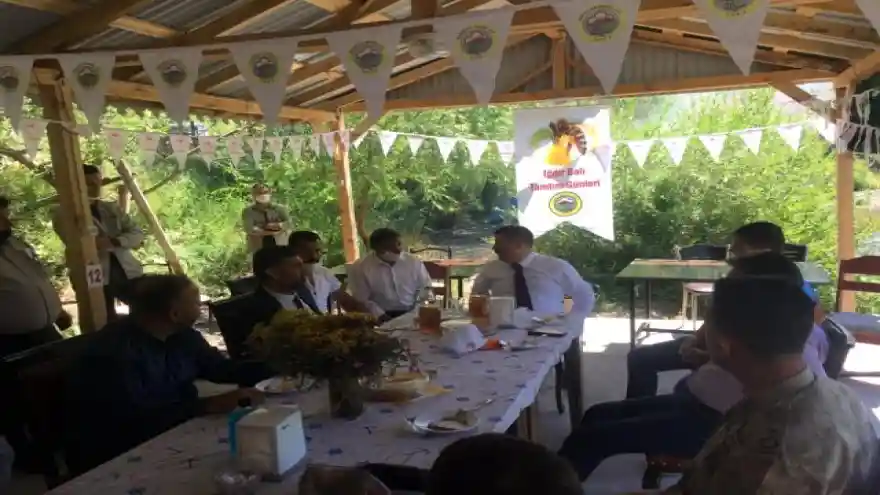 Iğdır'da bal hasadı başladı 