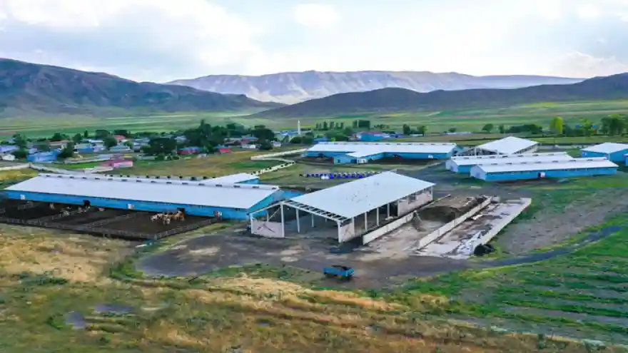 Doğubayazıt'ta kurdukları tesis ile günlük 3 Ton süt üretiyorlar