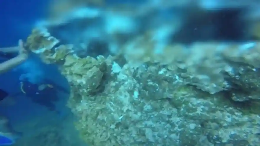 Van Gölü’nün gizemi keşfedilmeye devam ediyor