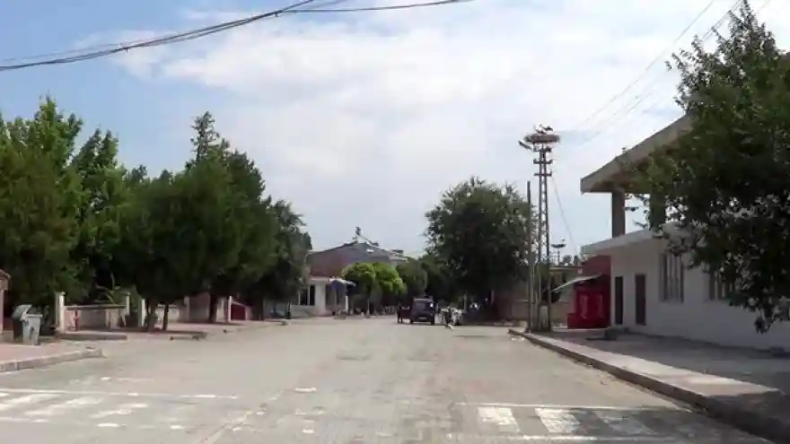 Iğdır'da bin yuvada 6 bin leylek var