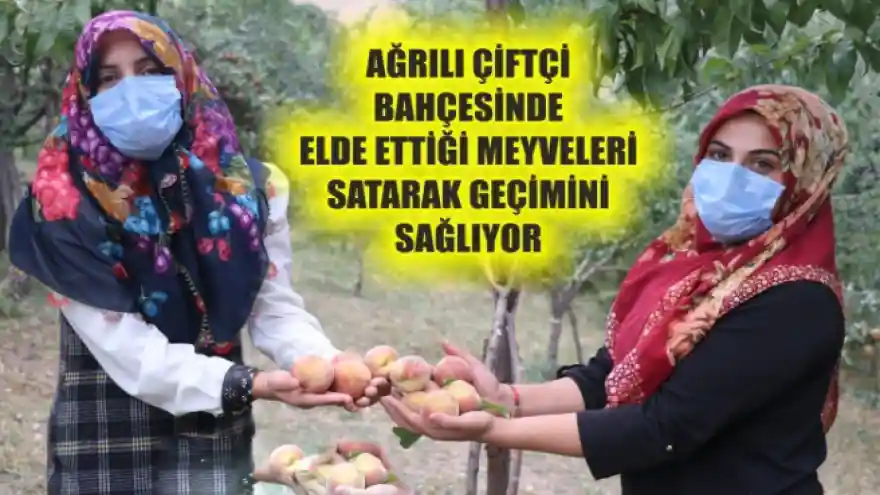 AĞRILI ÇİFTÇİ BAHÇESİNDE ELDE ETTİĞİ MEYVELERİ SATARAK GEÇİMİNİ SAĞLIYOR 