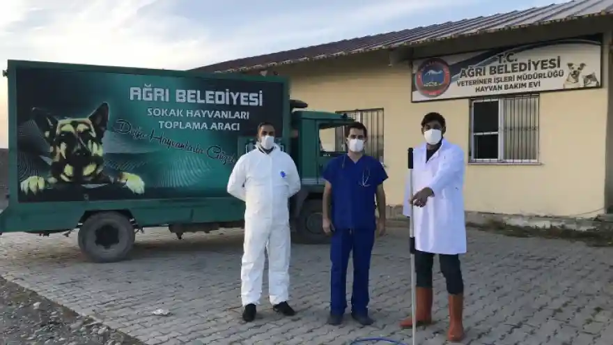 Belediye Sokak Hayvanlarına Yönelik Çalışmalarına Devam Ediyor