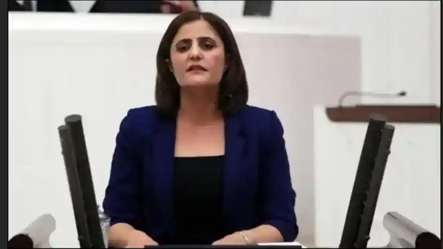 Ağrı Milletvekili hakkında "silahlı terör örgütü üyesi olmak" iddiasıyla soruşturma başlatıldı