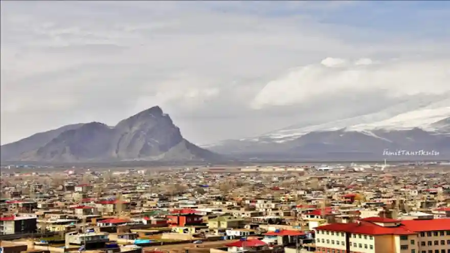 Ağrı'da kaç vaka var?