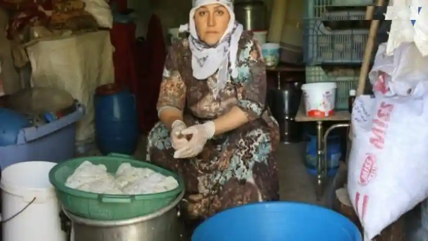 Otlu peynir kadınların emeğiyle sofraya ulaşıyor