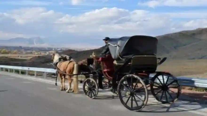 Sahi Doğubayazıt'ta ki Faytonlar'a Ne Oldu?