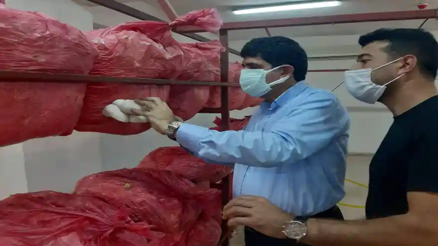 Rektör Alma, Üniversitede Yetiştirilen İstridye-Kayın Mantarı Hakkında Bilgi Aldı