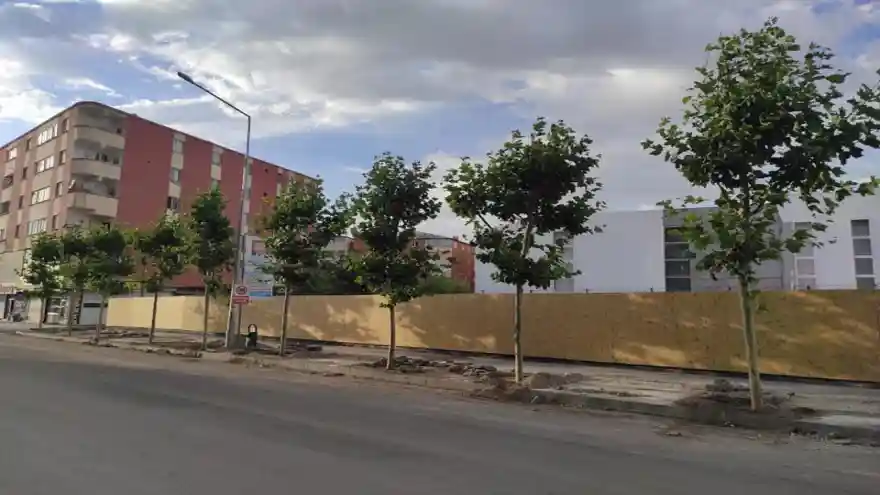 Doğubayazıt'lı İş İnsanından 120 adet çınar ağacı