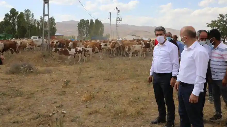 Vali Varol’dan Hayvan İşletmesine Ziyaret