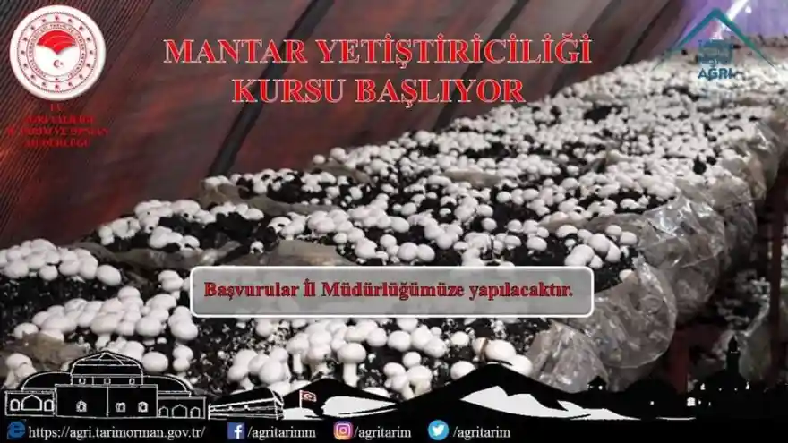 Mantar Yetiştiriciliği Kursu Başlıyor