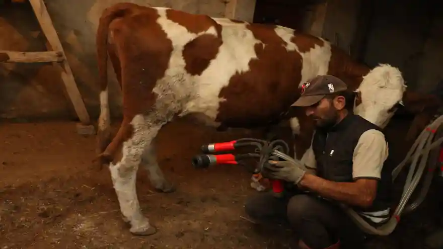 AĞRI'DA DAĞITILAN SÜT SAĞIM MAKİNELERİNİN DENETİMİ YAPILDI