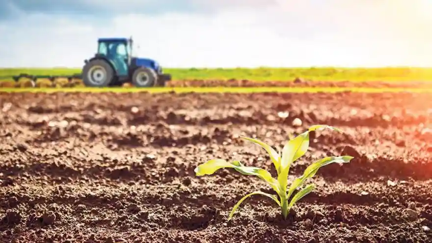 Kırsal kalkınma desteklerine erişim kolaylaştırıldı