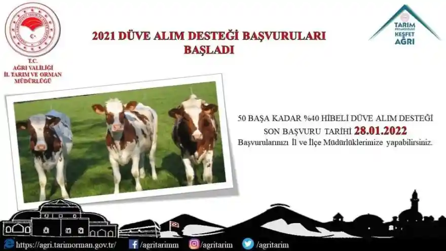 Düve Alım Desteği Başvuruları Başladı