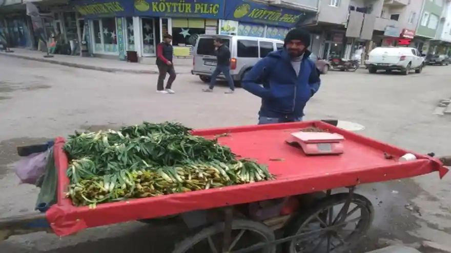 ÇİRİŞ (GULİK) TEZGAHLARDA YERİNİ ALDI