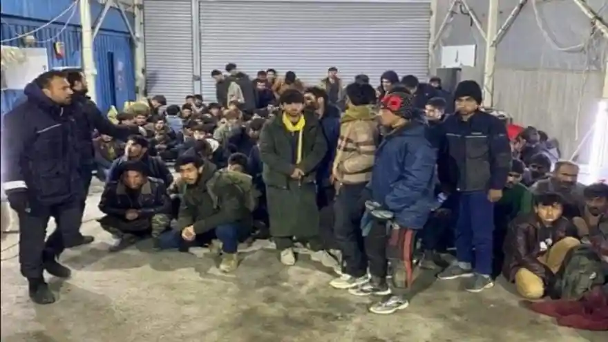 Kereste Yüklü Kamyonda Saklanmış 113 Düzensiz Göçmen Yakalandı