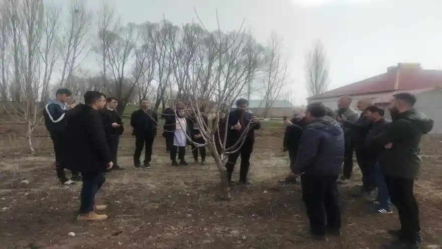 Ağrı'da Meyve Ağaçlarını Budama Kursu Devam Ediyor