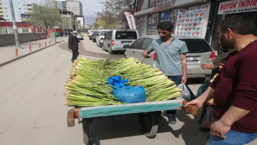 Işkın (Doğal Muz) piyasadaki yerini aldı