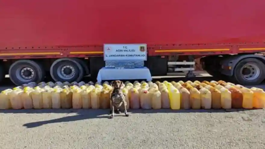 Doğubayazıt'ta Durdurulan Tırda Gümrük Kaçağı Akaryakıt ve Sigara Ele Geçirildi