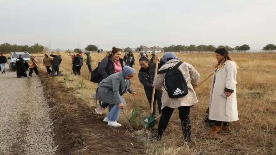 Ağrı’da 41 Maden Şehidi Anısına Fidan Dikildi