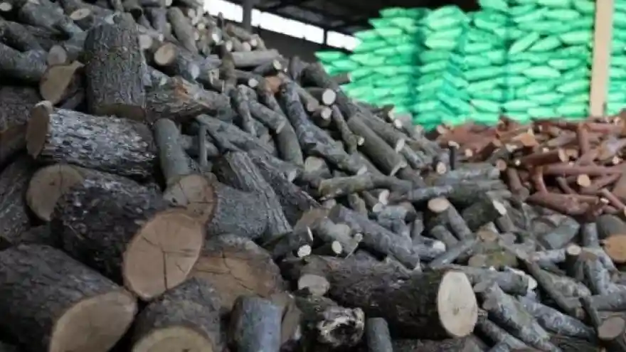 DOĞUBAYAZIT'TA HAVALAR SOĞUDU, ODUN VE KÖMÜRDE PAHALI