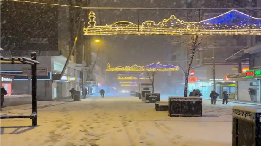 Doğubayazıt'ta yoğun kar yağışı etkili oldu