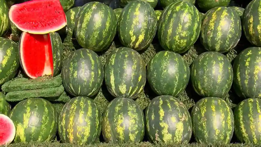 Havaların Isınmasıyla Karpuza talep arttı