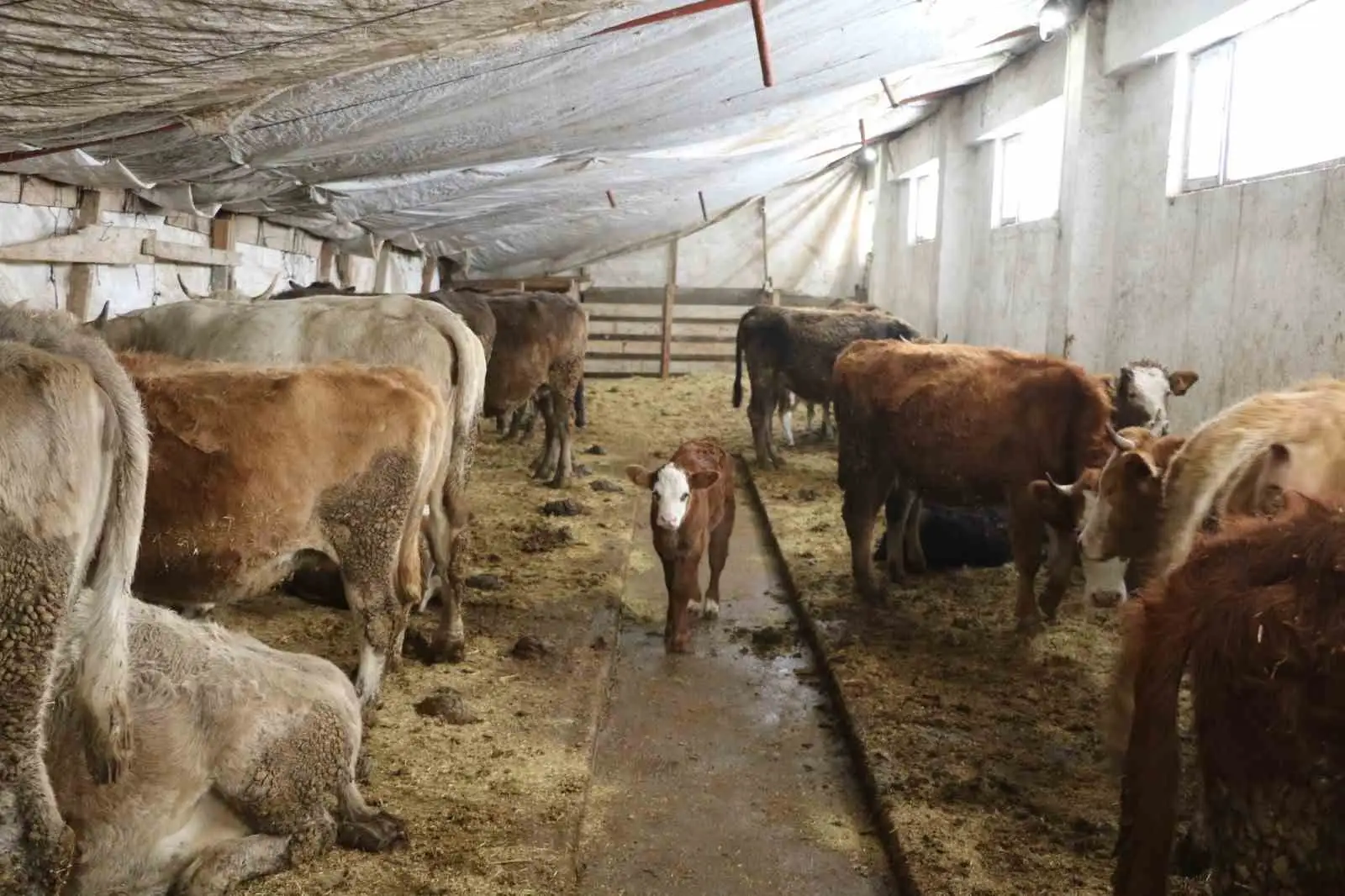 25 yıl sonra döndüğü memleketinde kendi işletmesini kurarak kadınlara örnek oldu 