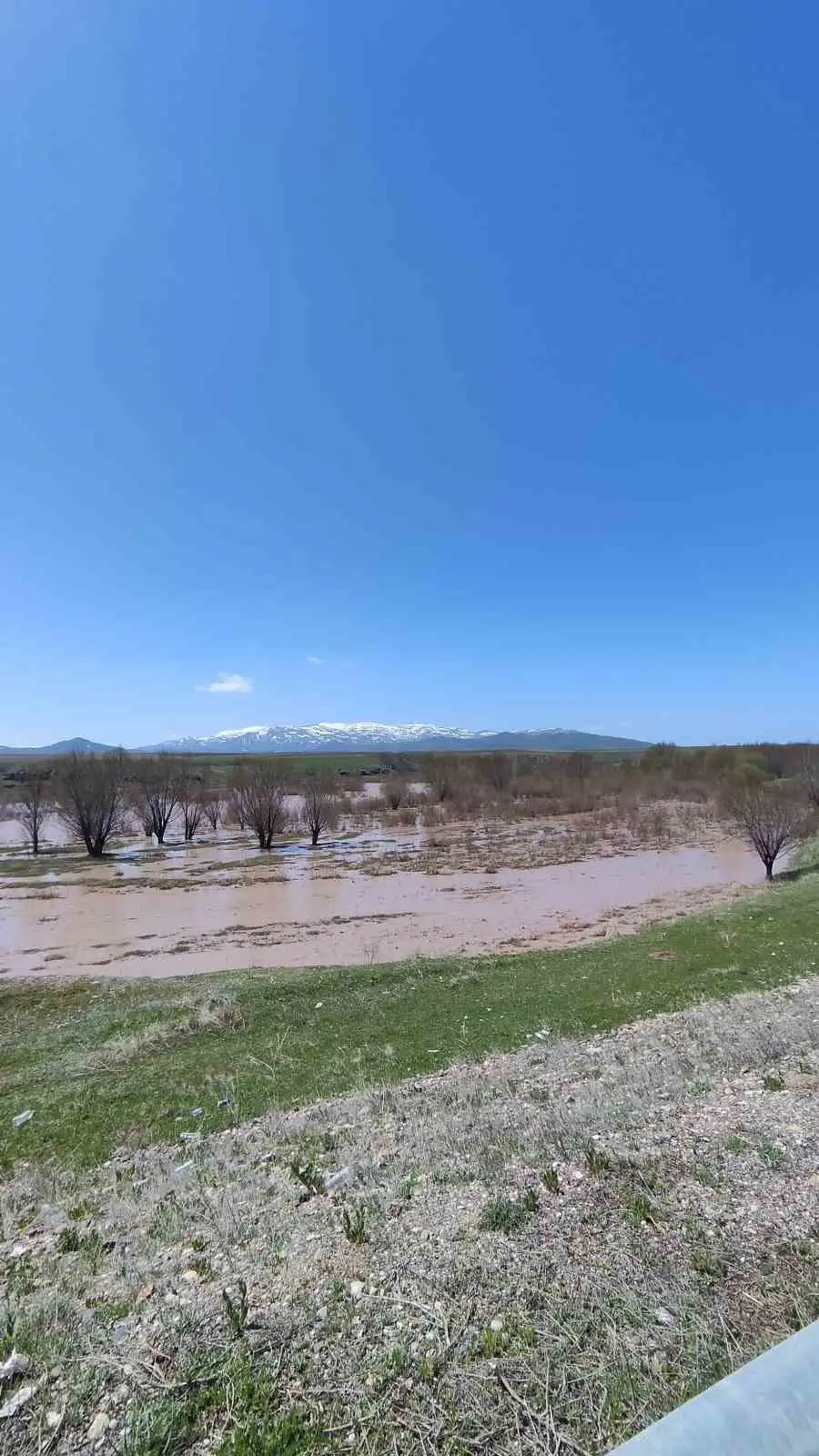 Ağrı’da Murat Nehri taştı araziler sular altında kaldı 