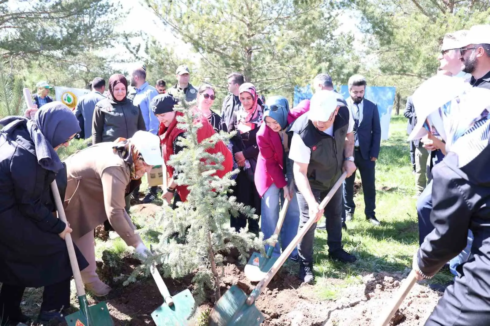 Ağrı’da "Orman Benim" kampanyası kapsamında fidan dikimi ve orman temizliği etkinliği düzenlendi 