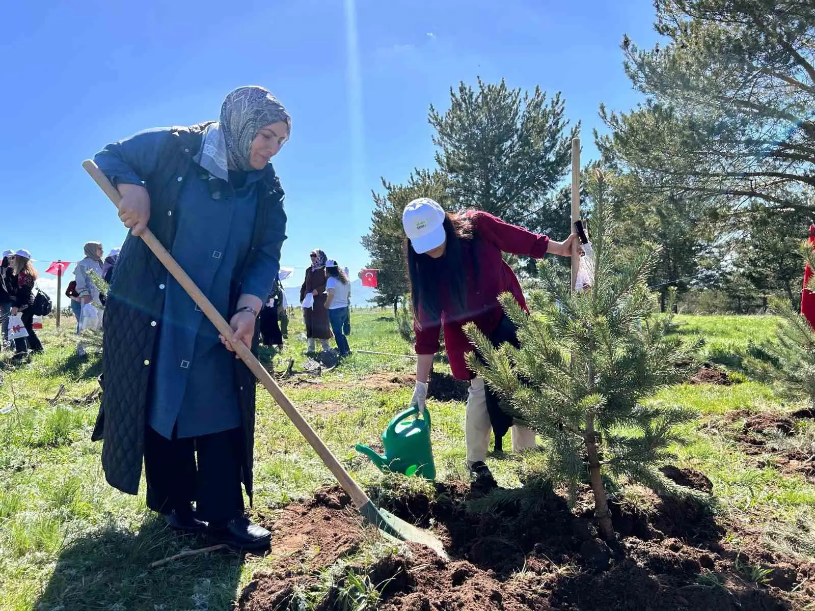 Ağrı’da Anneler Günü’ne özel "Anne Akademisi Hatıra Ormanı" oluşturuldu 