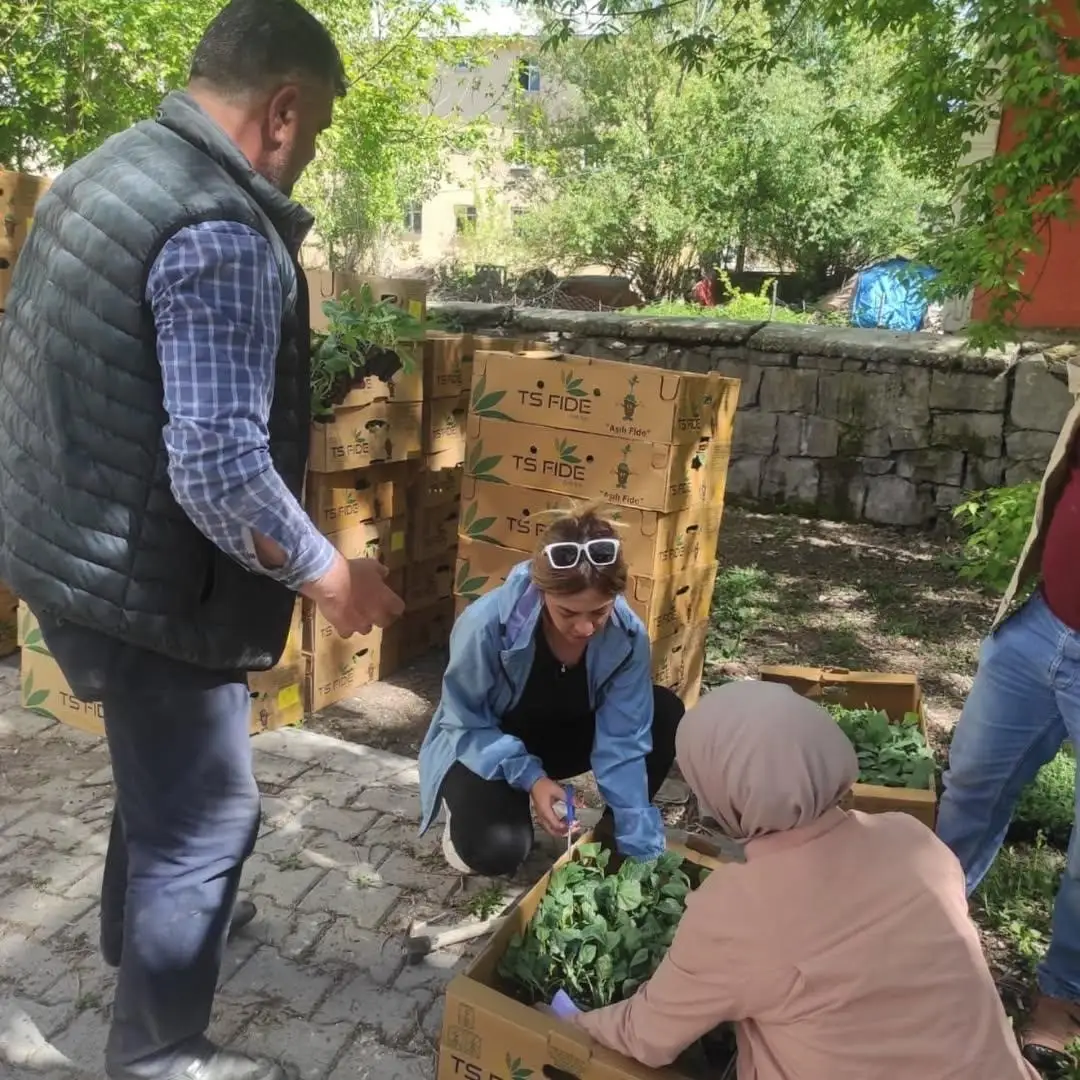 Hamur’da sebze fideleri dağıtımı gerçekleştirildi 