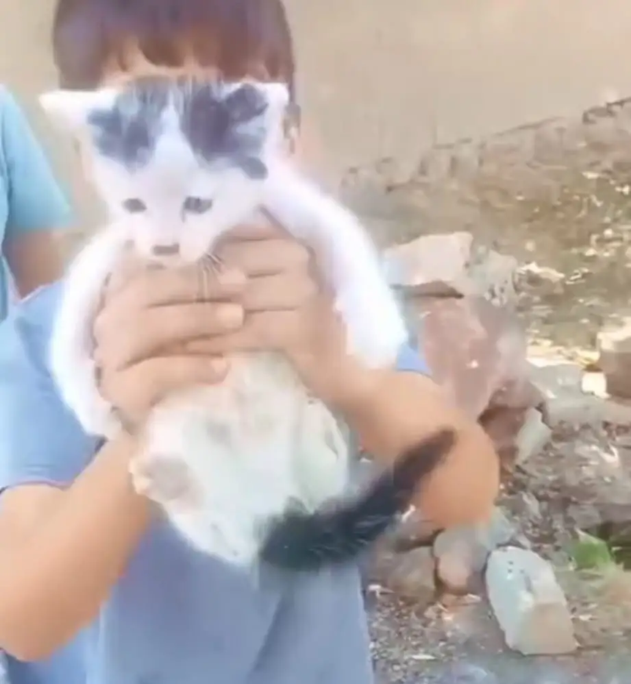 Foseptik çukuruna düşen minik kediyi çocuklar kurtardı 