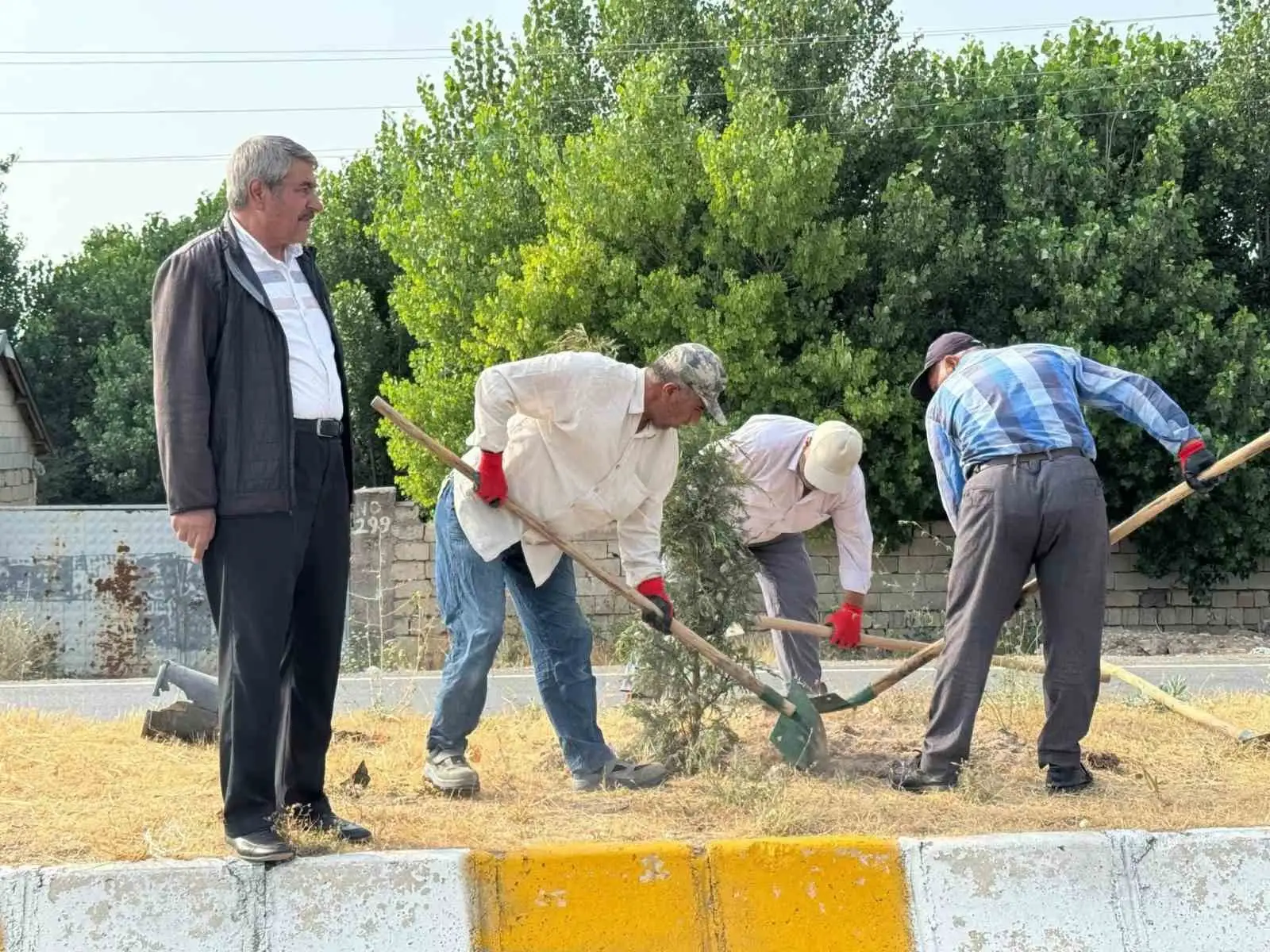 Patnos’ta yeşil alan çalışmaları sürüyor 