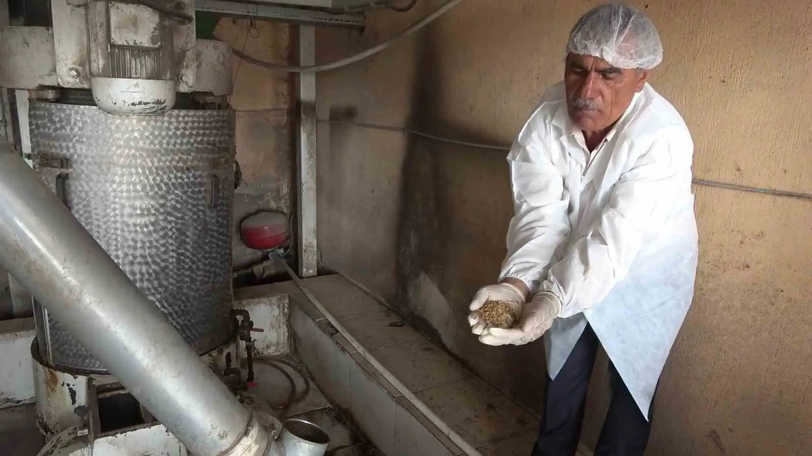 Diyadin’de kurulan modern un tesisi ekonomiye güç katıyor 