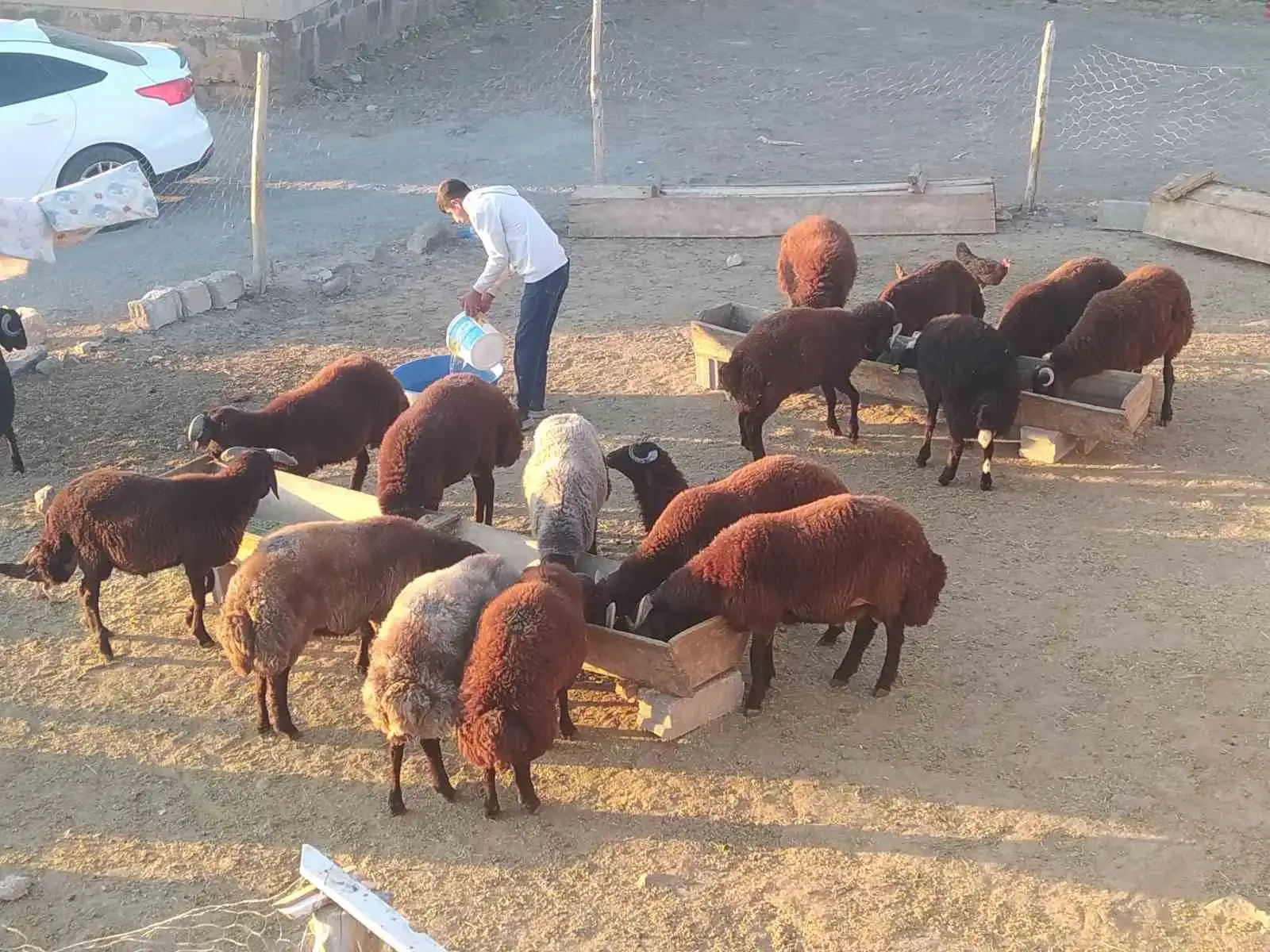 Patnos’ta besiciler kış hazırlığını sürdürüyor 