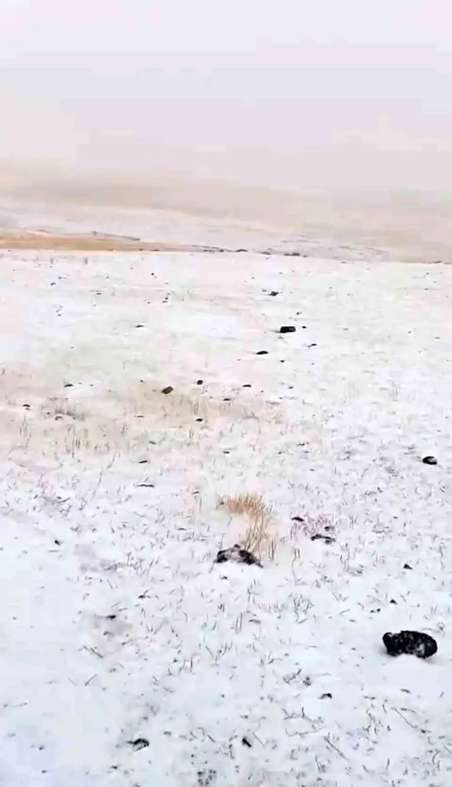 Diyadin’de Eylül’de yağan kar köyü beyaza bürüdü 