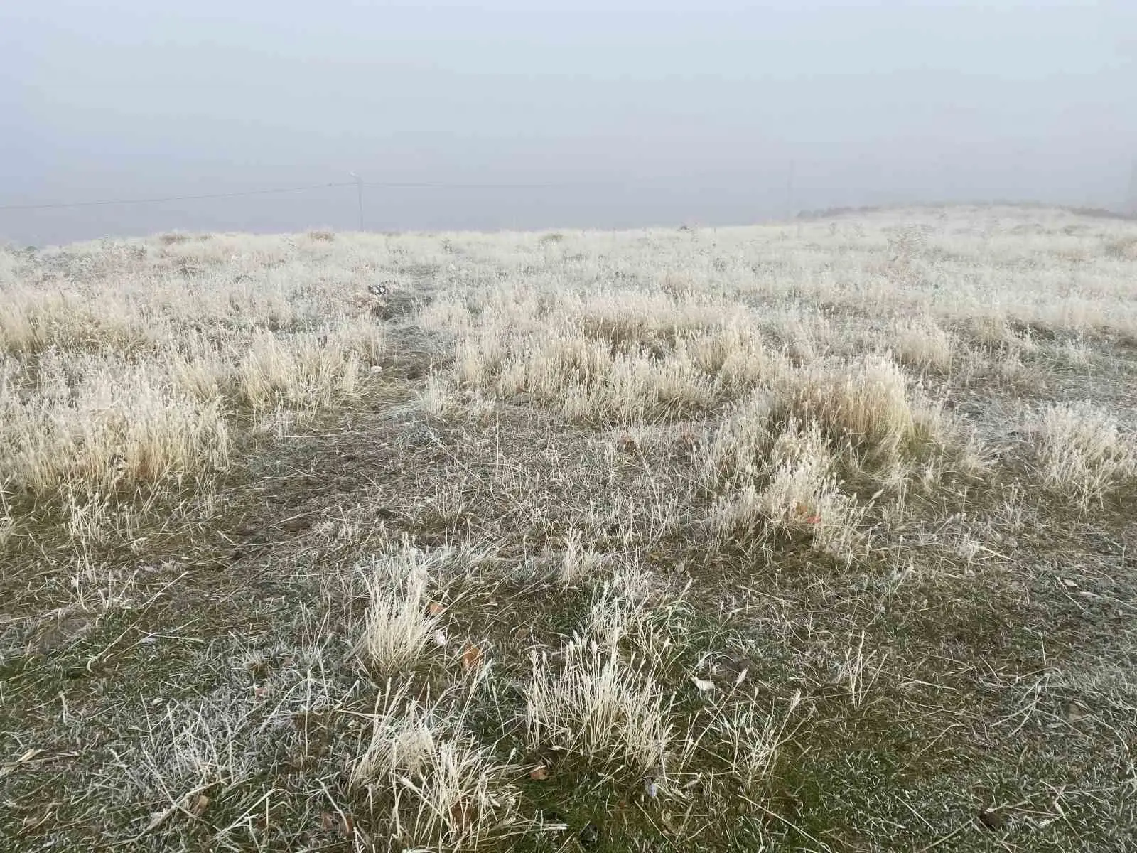 Ağrı’da kırağı etkili oldu 